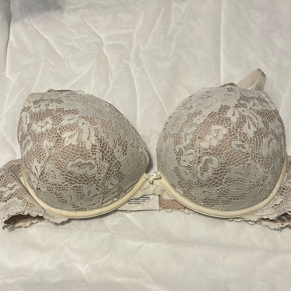 Torrid push up plunge bra